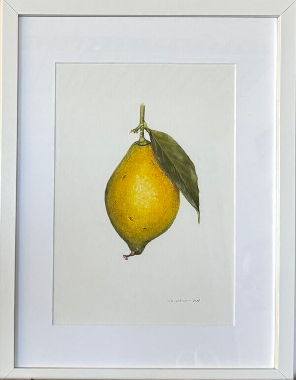 Zitrone, Pastell/Bambuspapier, 20 x30 cm, 2019