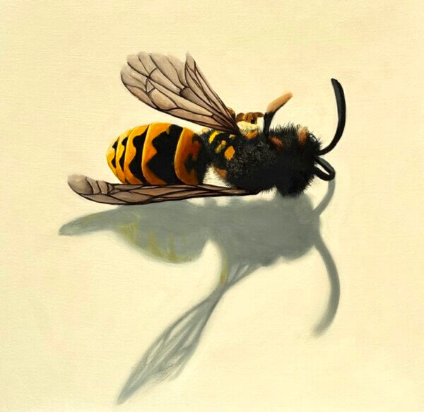 Wespe, Öl/Leinwand, 39 x 37 cm, 2025