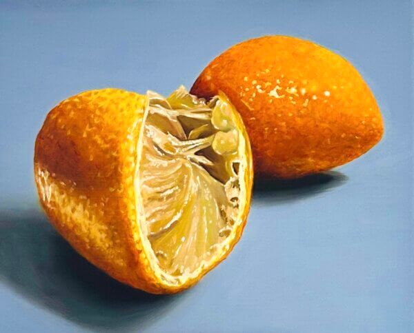 Zitronen, Öl/Leinwand, 30 x 24 cm, 2025