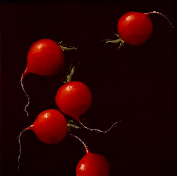 Radieschen, Öl/Leinwand, 15 x 15 cm, 2025