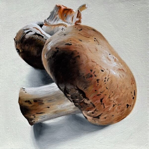 Champignons, Öl/Leinwand, 15 x 15 cm, 2025