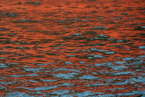 ohne Titel - INV 462