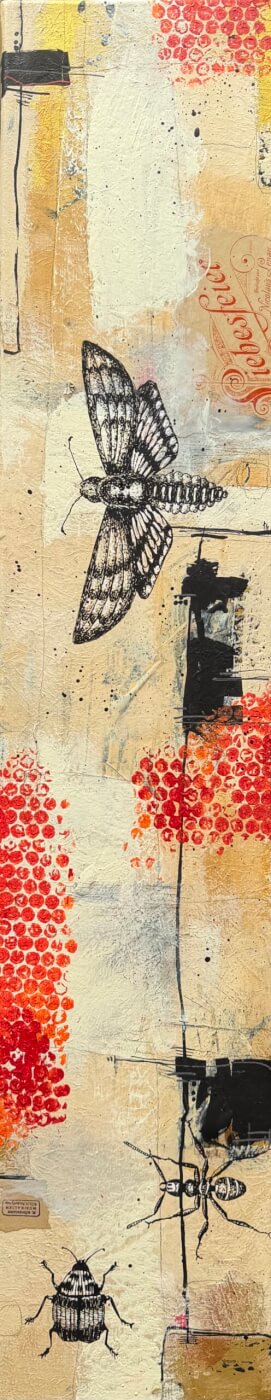 insects, Acryl/Leinwand, 20 x 100 cm, 2026