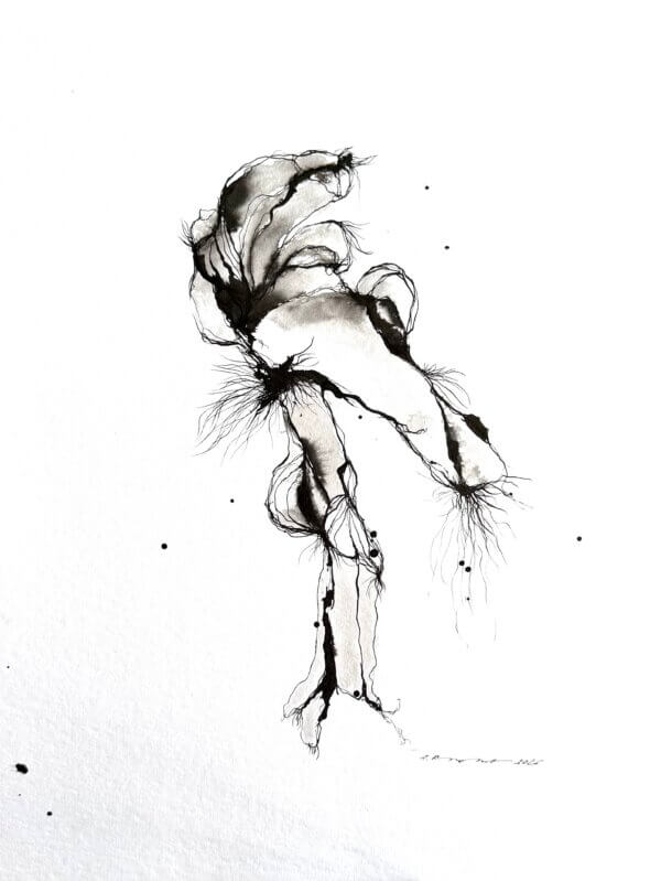 Kopf24, Federzeichnung/Papier, 30 x 40 cm, 2026